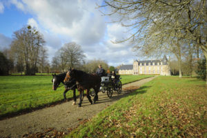 Chateau de Canisy