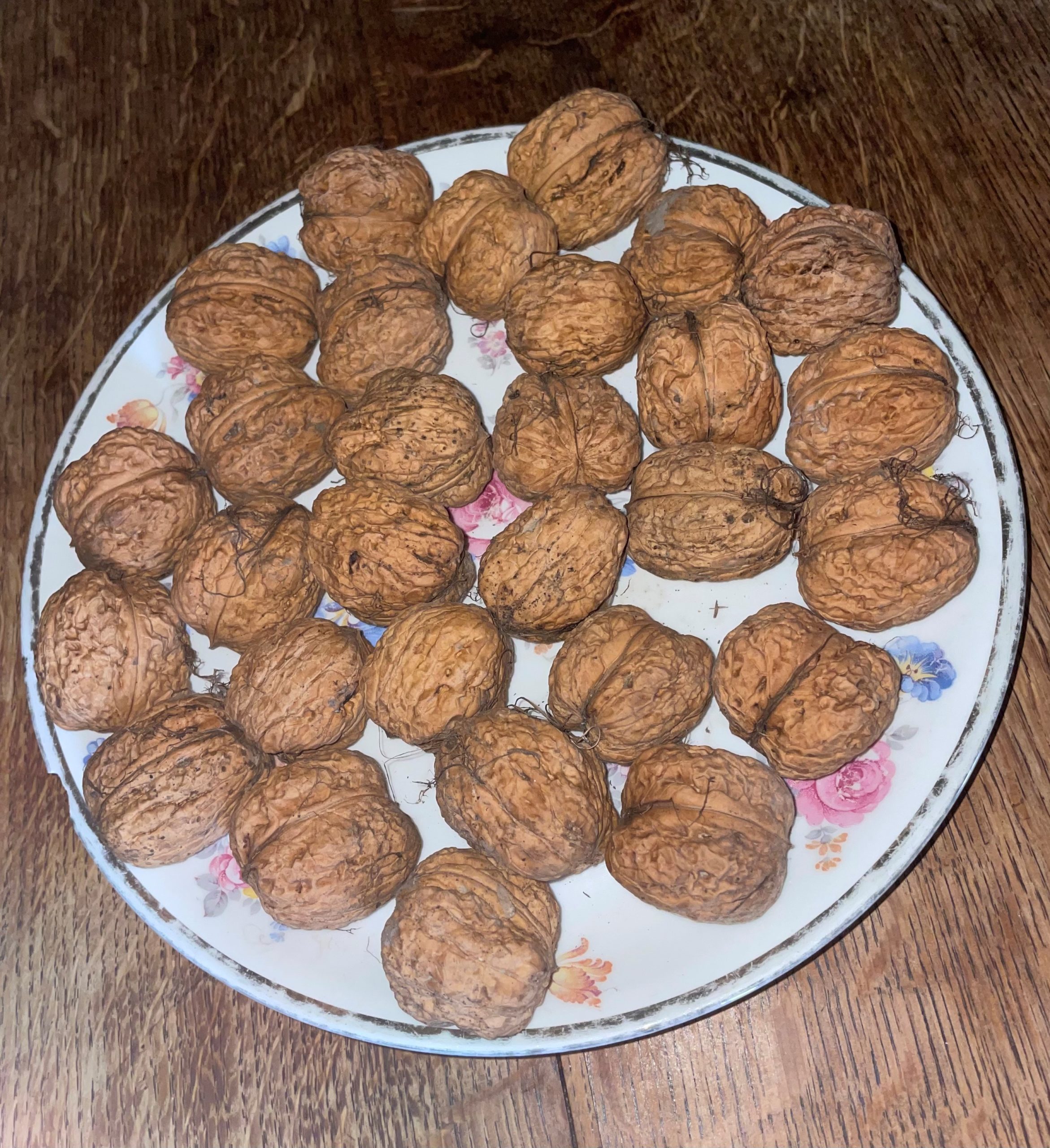 Its walnut season. Here are some beautiful Charlot walnuts from our